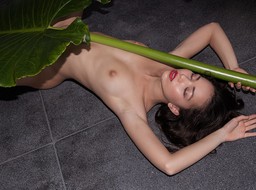 Tasty Pics Of Nude Model Kit Rysha